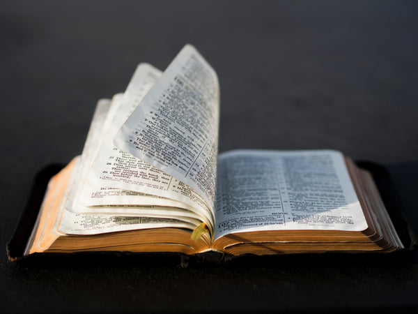 4 Ways that The Bible Fuels our God-Given Purpose